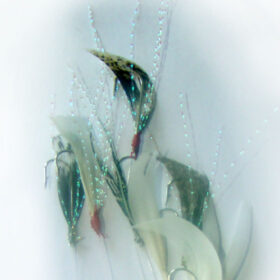 Τσαπαρί φυσικό φτερό με τρίχες