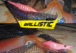 DTD BALLISTIC EGI 3.5B - Image 6