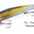 BARRACUDA 200 transparent natural smelt DTD-50336-TS